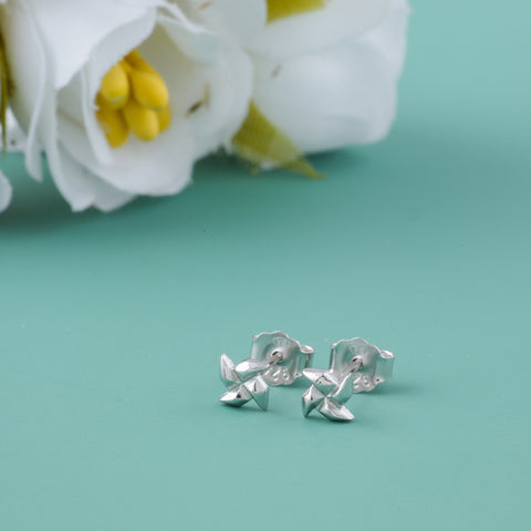 Silver  Stud Earrings for Women