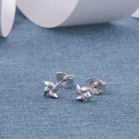 Silver  Stud Earrings for Women